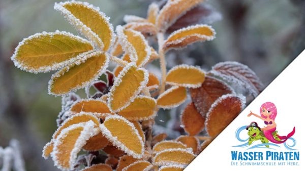 Winterkurse Intensiv 2021